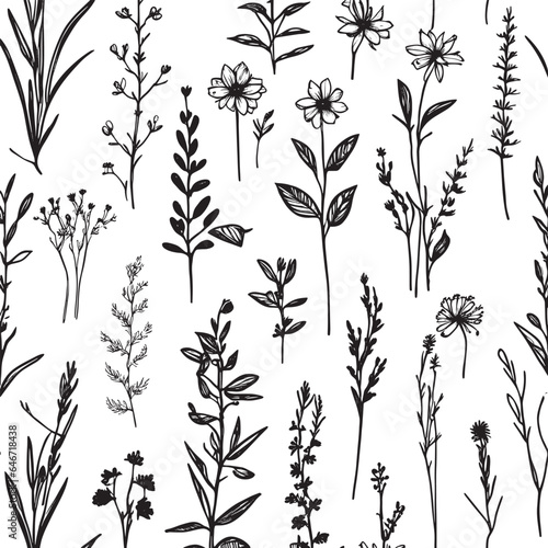 hand plant collection. Botanical set sketch flowers branches. , hand drawn. Beautiful flower on a transparent background. The vector wildflowers and flowers are highly detailed line art style.