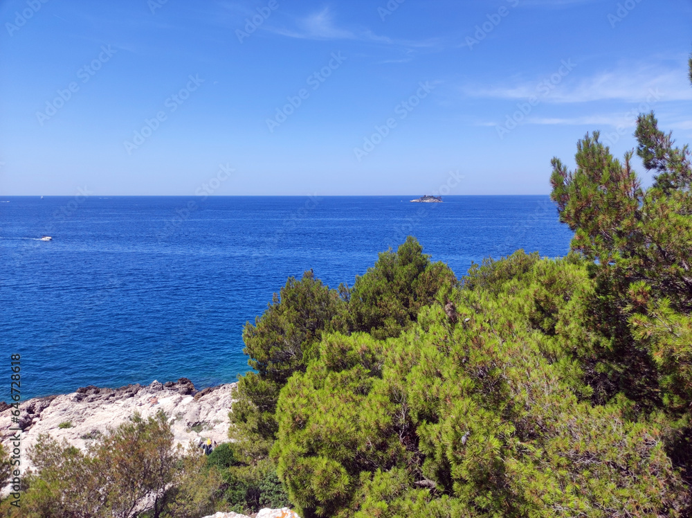 seascape in Rovinj with pine trees