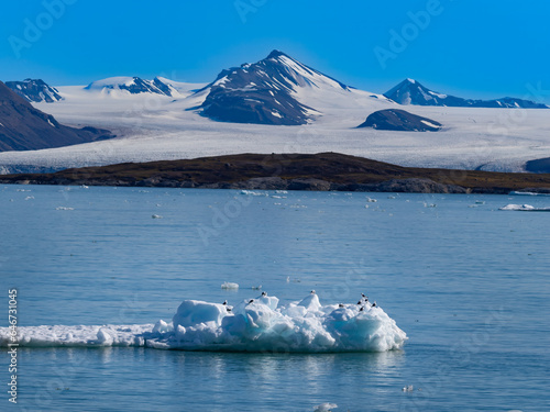 Glaciers on the Isfjorden shores near Longyearbyen, the world's northernmost settlement, Spitsbergen, Svalbard, Norway © Luis