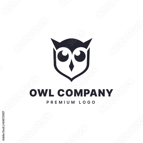 Simple and creative owl logo design © hekenostudio