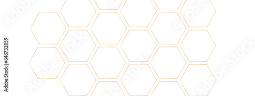 Luxury white and grey hexagonal abstract background. Geometric 3d texture illustration. Abstract hexagonal concept technology, banner and wallpaper background. 