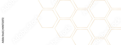 Luxury white and grey hexagonal abstract background. Geometric 3d texture illustration. Abstract hexagonal concept technology, banner and wallpaper background.	