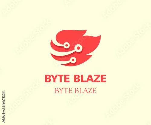 Byte Blaze Professional Logo