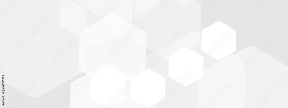Abstract trendy technology of gradient white and gray hexagonal element pattern artwork design background. Use for ad, poster, presentation, print, artwork. Abstract trendy technology of gradient white and gray hexagonal element pattern artwork design background. Use for ad, poster, presentation, print, artwork.