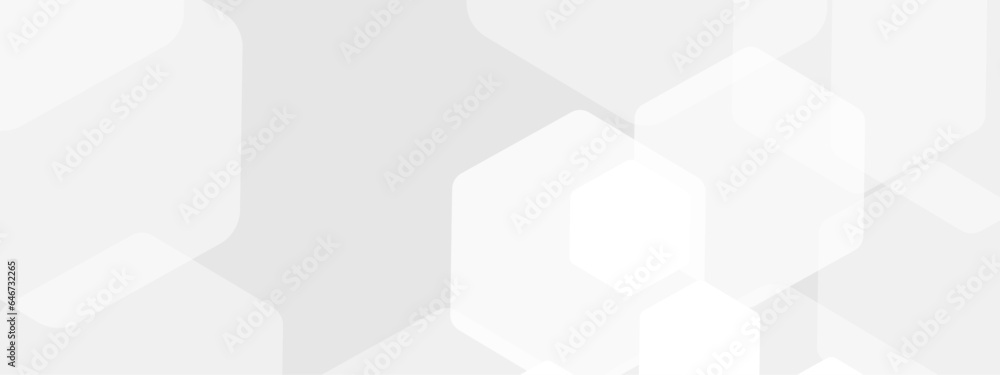 Abstract trendy technology of gradient white and gray hexagonal element pattern artwork design background. Use for ad, poster, presentation, print, artwork. Abstract trendy technology of gradient white and gray hexagonal element pattern artwork design background. Use for ad, poster, presentation, print, artwork.