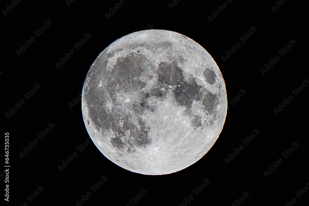 Obraz premium full moon