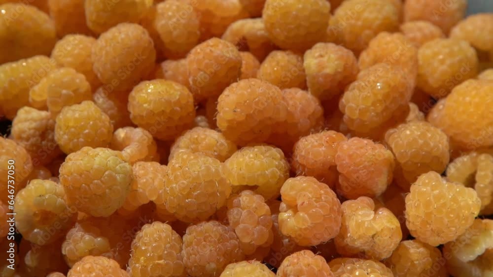 Yellow raspberries in plate on the table. Summer berries background. Vitamin food, berry harvest. Healthy nutrition. Yellow raspberries in plate on the table. Summer berries background. Vitamin food, berry harvest. Healthy nutrition.