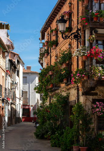 Wooden house with façade full of traditional Spanish flowers