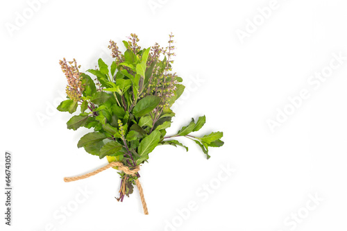 Holy basil leaves isolate on white background with clipping path.Top view of Vegetable and Herb, Fresh Oganic Ocimum Sanctum or Tulsi Isolated on White Background with copy space.