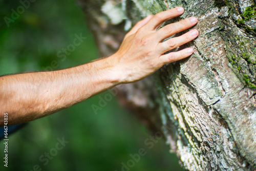 A man's hand touch the tree trunk close-up. Bark wood.Caring for the environment. The ecology concept of saving the world and love nature by human