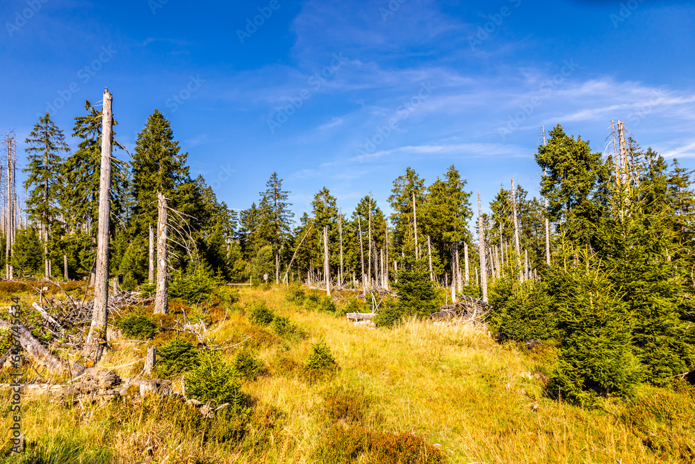 Spätsommerwanderung durch den Nationalpark Harz rund um den Oderteich b. Torfhaus - Niedersachsen - Deutschland Spätsommerwanderung durch den Nationalpark Harz rund um den Oderteich b. Torfhaus - Niedersachsen - Deutschland