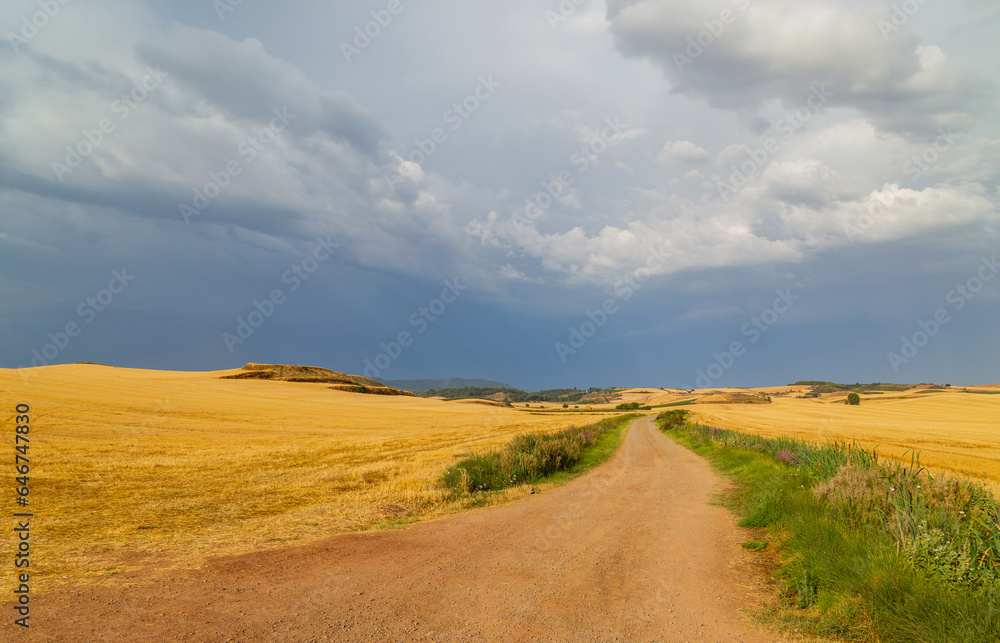 The Camino De Santiago