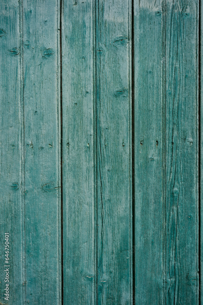 Fototapeta premium Wooden background texture surface. Rustic green Weathered Wood