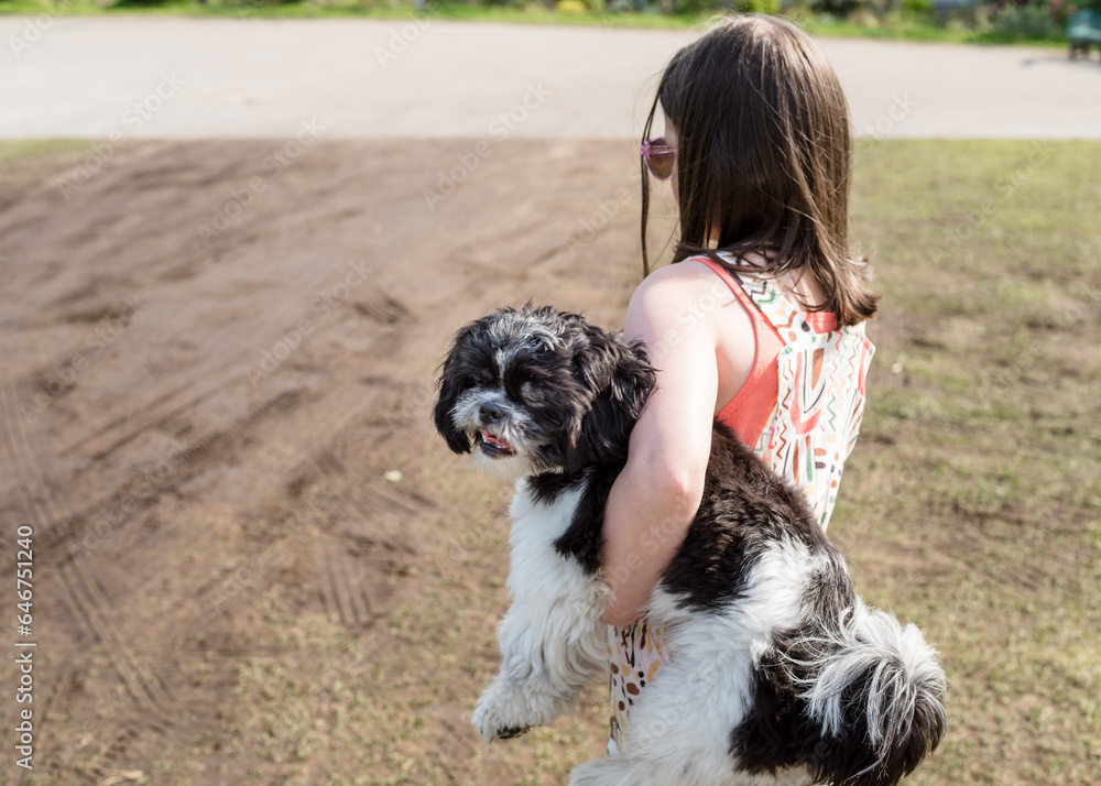 Girl with a Shih Tzu dog on a sunny day. The child pets his dog. Close-up Girl with a Shih Tzu dog on a sunny day. The child pets his dog. Close-up