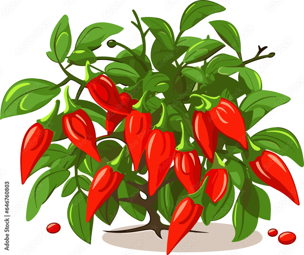 Red Chili Pepper. Spicy vegetables on tree. Vector