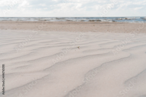 Close-up of fantastic sandy dunes ridges ripples beach near water sea ocean coastline on sunny day. Summer  holiday.