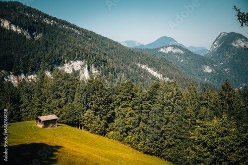 Small wooden hut on a green field in front of the forest in a mountain landscape on a sunny day