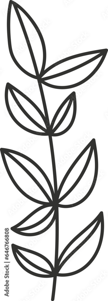 Leaf Branch Doodle