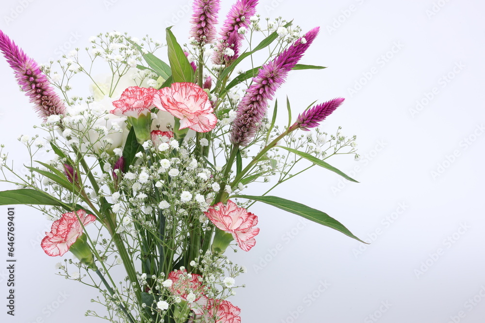 Obraz premium 白バックの様々な色の花束