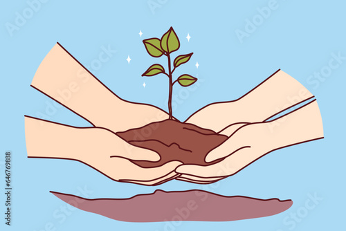 People hands with tree sprout in ground as metaphor for environmental activism and concern for nature. Two people plant tree together in ground in backyard, wanting to create scenic view from window.