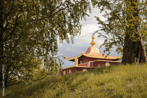 Photography Lost Buddhism temple