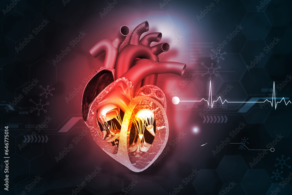 Human heart cross section with ECG background. 3d illustration. Stock ...