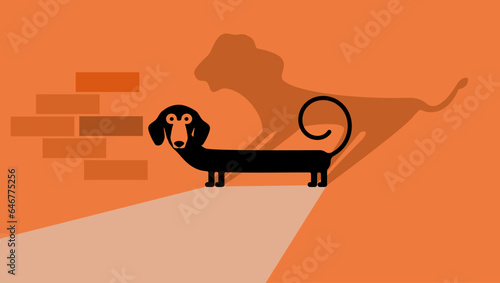 fearless dachshund with lion shadow