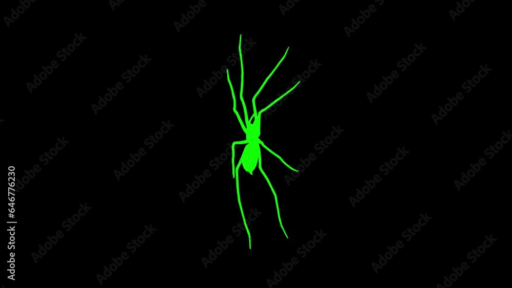 3D Spider rotates on black background. Insects and nature concept. Dangerous insects. Business advertising backdrop. For title, text, presentation. 3d animation 60 FPS