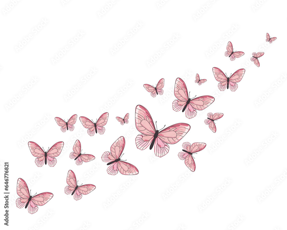 butterfly and flowers butterfly and flowers