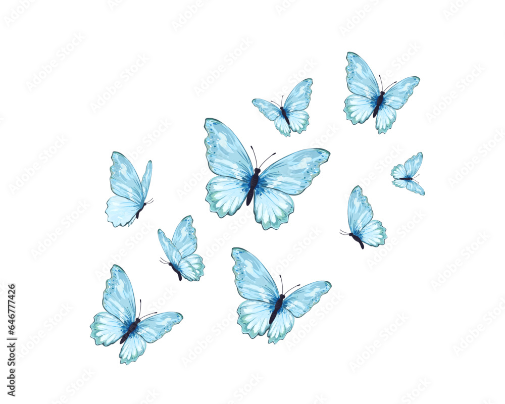 set of butterflies isolated on white set of butterflies isolated on white