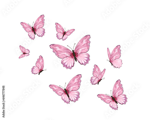 pink butterfly watercolor on white background Set of blue butterflies positive quote motivational etc fashion prints © ulucsevda