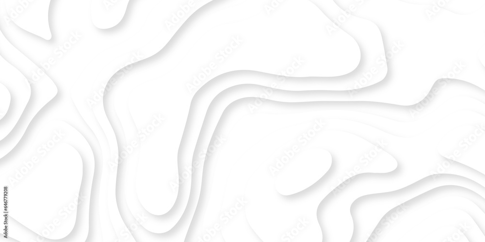 Abstract wavy line 3d paper cut white background. Topographic canyon geometric map relief texture with curved layers and shadow. Abstract white paper cut shapes background with shadow and topography.