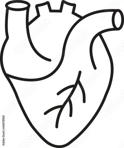 black Human Heart icon, Cardiac Muscle Line and Silhouette Color Icon. Medical Cardiology Pictogram. Healthy Cardiovascular Organ Symbol isolated on transparent Background.