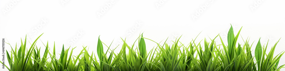 a row of 3d green grass on a white background. a row of 3d green grass on a white background.