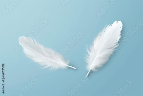 Abstract wing white animal copy background soft bird space feathers pattern nature fluffy blue