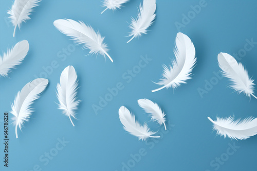 Bird pattern feathers white abstract fluffy space softness soft wing blue background copy animal nature