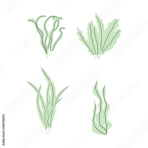 Coral. Underwater plant. Vector illustration in scandinavian style. Seaweed.