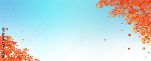 Autumn maple leaves and blue sky background
