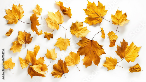flying autumn leaves on a white background.