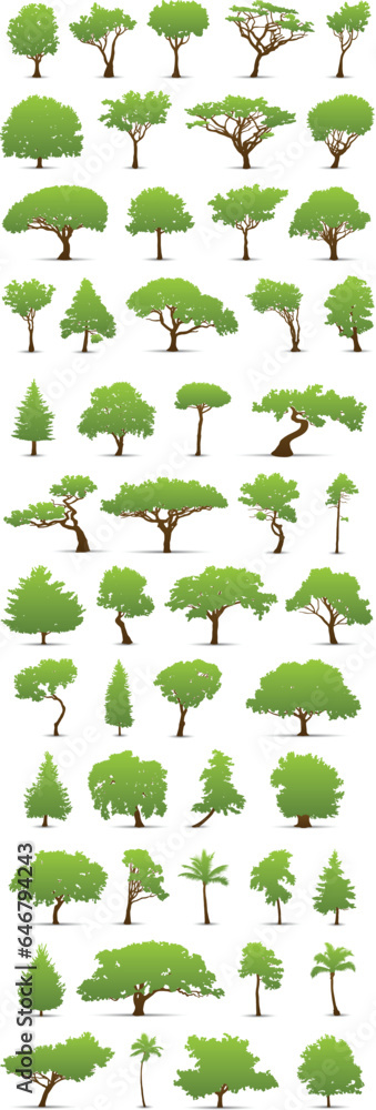 Fototapeta premium Tree Collection