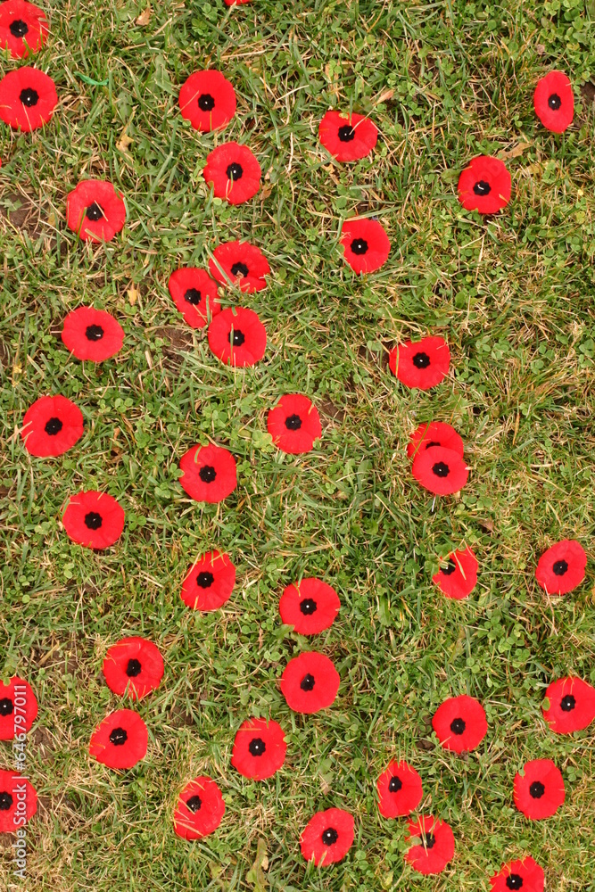 remembrance day, memorial, poppys, Windsor, Nova Scotia, Canada, North