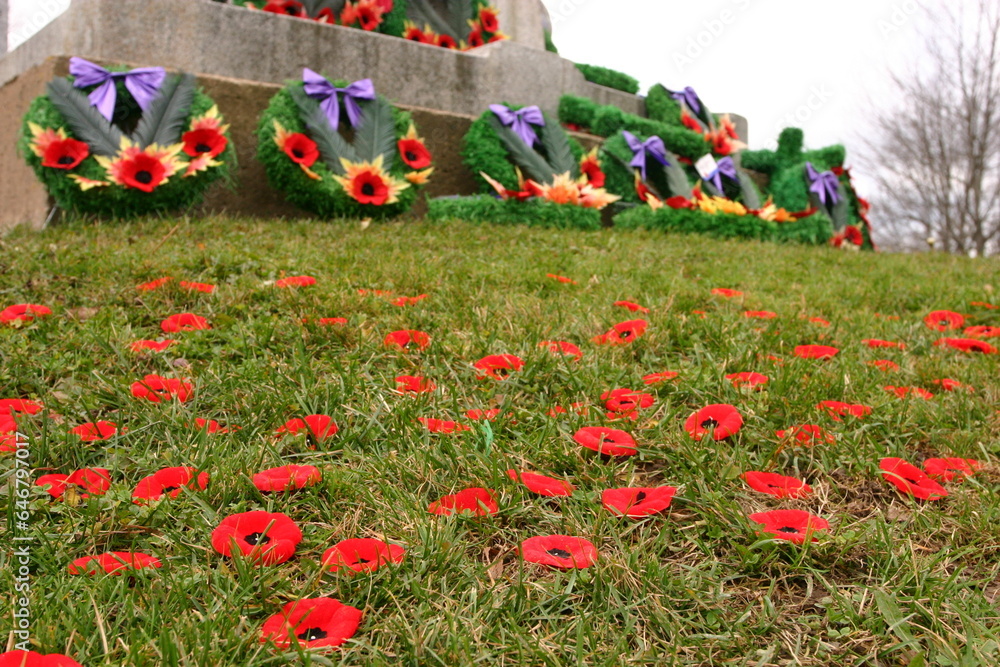 focus on monument, remembrance day, memorial, poppys, Windsor, Nova
