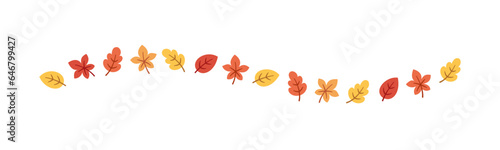 Autumn leaves separator border in orange and red colors for Fall and Thanksgiving season. Vector isolated on white background.
