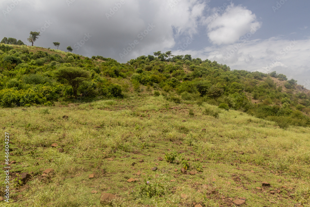 Hilly landscape near Arba Minch, Ethiopia