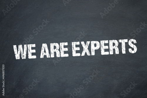 We are Experts 