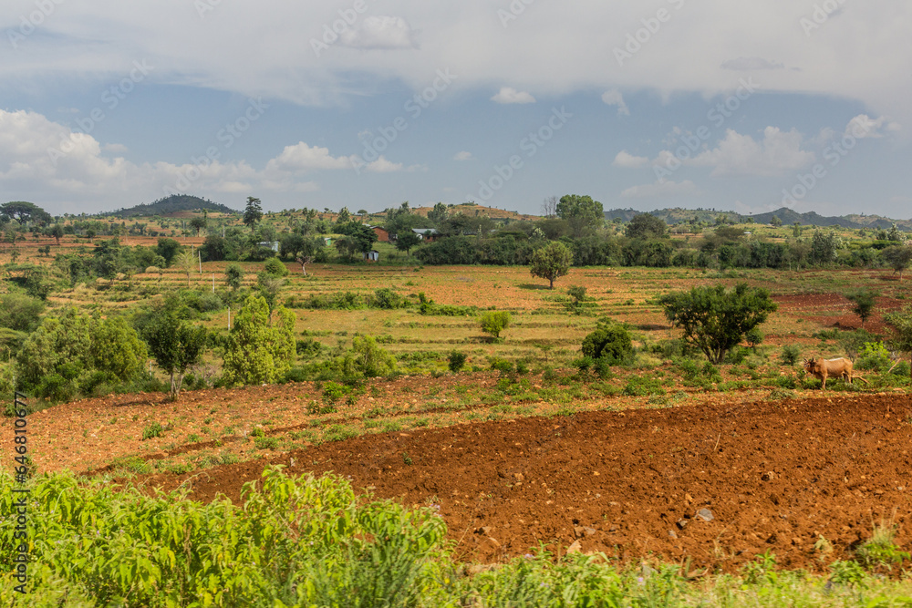 View of Konso landscape, Ethiopia