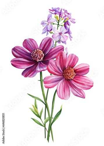 Pink Wildflower Watercolor. Beautiful bouquets of flowers on isolated white background  watercolor botanical painting