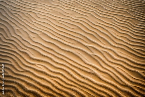 The background is an abstract representation of fine beach sand. Use for innovative design work.