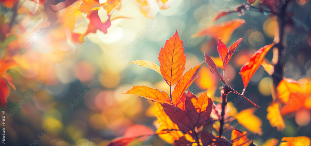 Autumn landscape, sunny forest in fall season, maple trees losing red and yellow leaves, graphic banner, web background, facebook header, Generative A.I,