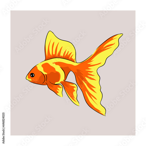 Vector illustration of beautiful and colorful Goldfish.
